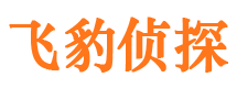 九龙坡捉小三公司